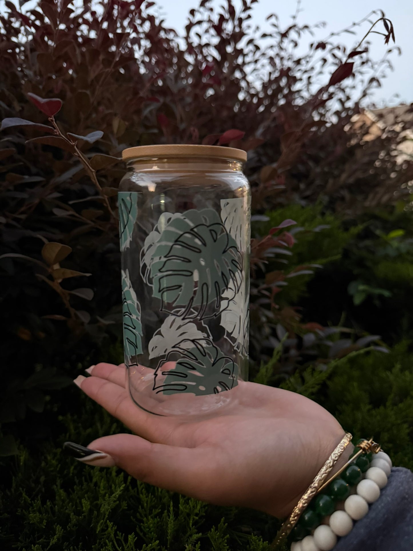 Monstera Breeze